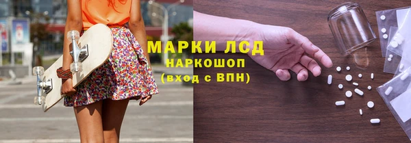 молекула духа Богданович