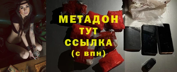 молекула духа Богданович