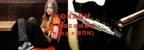 молекула духа Богданович