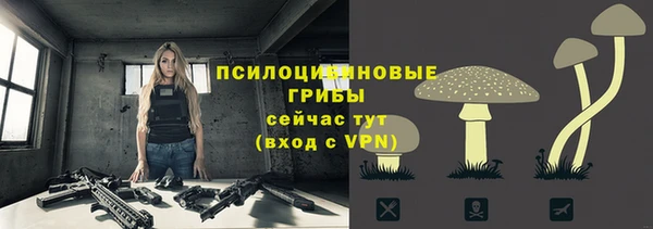mdpv Беломорск