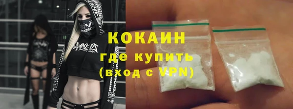 молекула духа Богданович