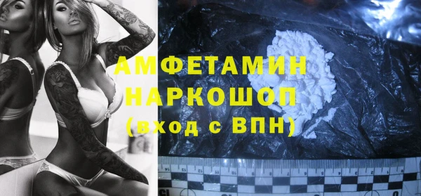 молекула духа Богданович