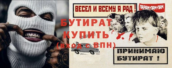 молекула духа Богданович