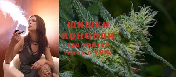 молекула духа Богданович