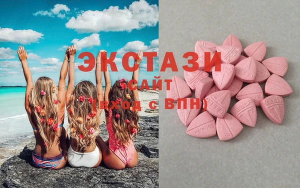 молекула духа Богданович