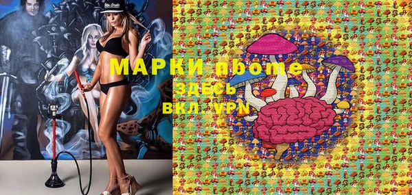 молекула духа Богданович