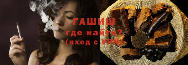 молекула духа Богданович
